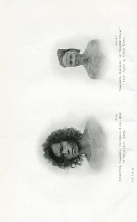 Suggested aboriginal Dravidian type - head of Sakai man, Perak. Aboriginal Malayan, or "Savage Malay" type - Jakun of Sungei Ujong