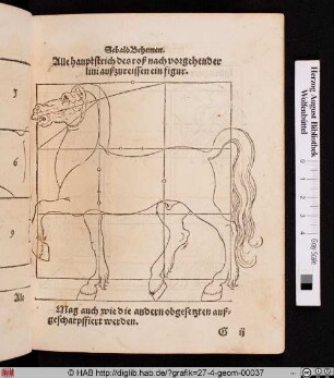 Alle hauptstrich des roß nach vorgehender lini aufzugreiffen ein figur.