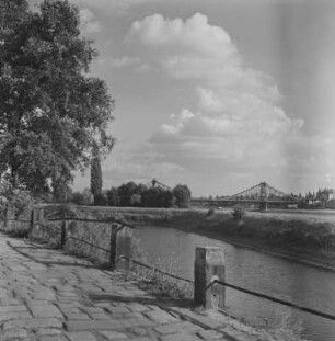 Dresden. Blick vom Loschwitzer Hafen zum Blauen Wunder