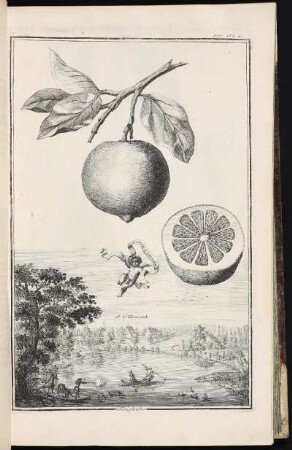p. 152a Königsweyher. - Ehemaliger Königsweiher, Nürnberg; Klosteranlage des ehemaligen Chorfrauenstifts Pillenreuth, Nürnberg-Pillenreuth