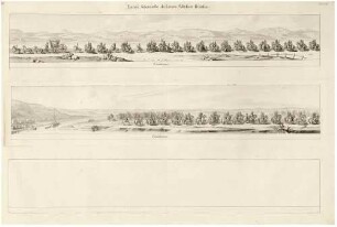 Einzug Maria Josephas 1719 in Dresden