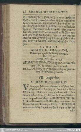 VII. Superint. M. David Teuberus
