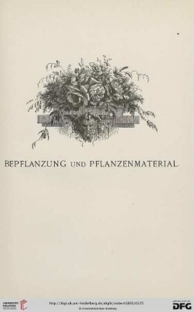 Bepflanzung und Pflanzenmaterial