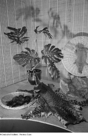 Felle und Fensterblatt der indischen Sektion auf der Leipziger Herbstmesse 1954