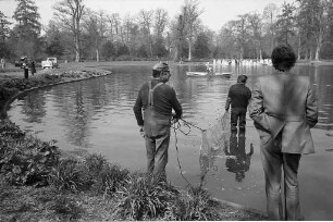 Fischsterben im See des Karlsruher Schlossgartens