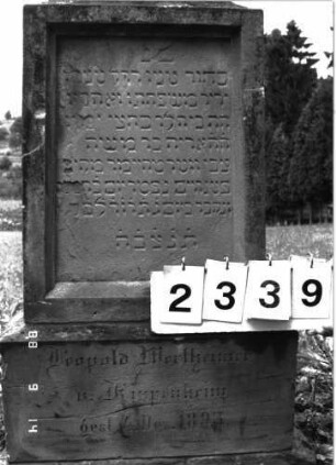 Grabstein 2339 (Index: 100097510) Maße HxBxT: 252x43x33 cm Symbolik: Baumstamm: Grabstein 2339 (Detailaufnahme)