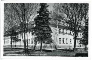 Schloss Hubertusburg. Landesanstalt, Krankenhaus
