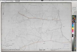 Ostbevern, Westbevern, Milte (Ostbevern, Telgte, Warendorf), Flurbereinigung Bevertal, alter Bestand Milte Flur 6