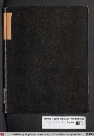 Decas Concionum Pragensium