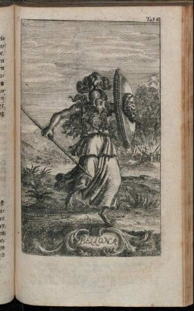 Tab. 12. Bellona