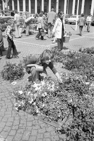 10. Karlsruher Geranienmarkt des Verbands badischer Gartenbaubetriebe auf dem Festplatz
