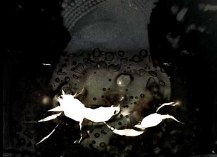 Celluloid Corridors: Sermon
