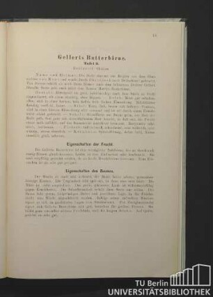 Gellerts Butterbirne. Tafel 9.