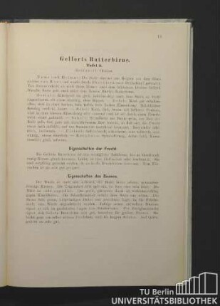 Gellerts Butterbirne. Tafel 9.
