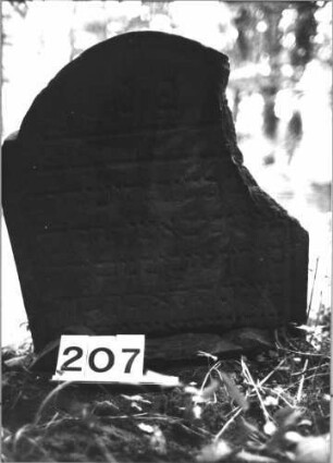Grabstein 207 (Index: 99803279) Material: Sandstein Zustand: abgebroch/eingesunk/völl. Textverl. Maße HxBxT: 72x58x9 cm Beschreibung: Stel emit eingezogenem Rundbogen und profiliertem Rand, Giebelfeld: Grabstein 207