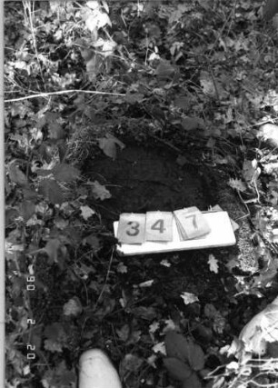 Grabstein 347