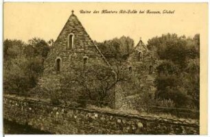 Altzella. Kloster Ruine