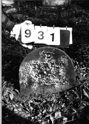 Grabstein 931 (Index: 99802600) Material: Sandstein Zustand: eingesunken/Textverlust Maße HxBxT: 31x36x9 cm Beschreibung: Stele mit Rundbogen: Grabstein 931