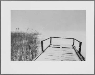 Am Lebasee, Polen