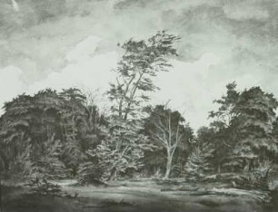 Naturschutzgebiet Insel Vilm