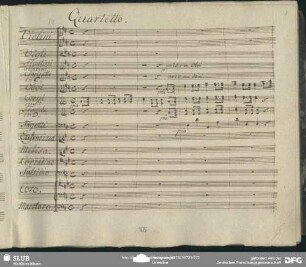 Quartetto: "Su cantiamo la vittoria"