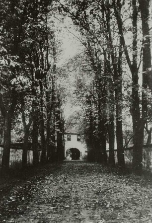 Herbstgold vorm Schloss Benndorf