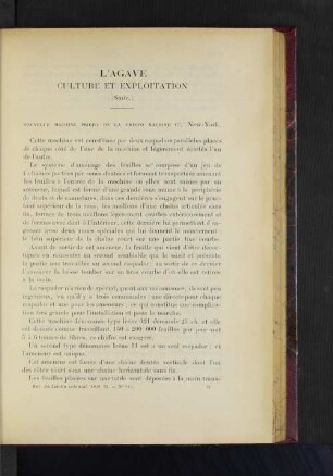 L'Agave Culture Et Exploitation.
