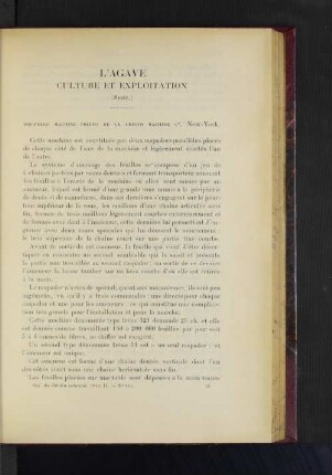 L'Agave Culture Et Exploitation.