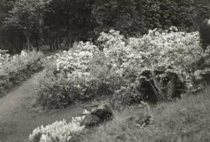 Kamenz, Hutberg. Rhododendronpark