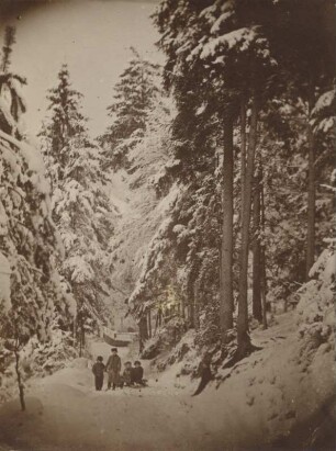 Winterwald mit Kindern und Schlitten
