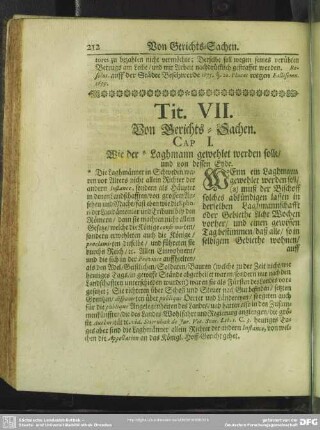 Tit. VII. Von Gerichts-Sachen