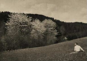 Deutschland. Frühling im Odenwald. Ein Mann sitzt auf einer Wiese vor blühenden Bäumen