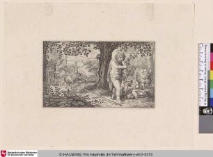 [Der Tot des Ampelos; The death of Ampelos, Lof-sanck van Bacchus: v.129-134]