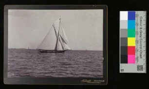 Aufnahme auf Karton aufgezogen Segelyacht auf der Kieler Förde, M. Ziesler, o.D.