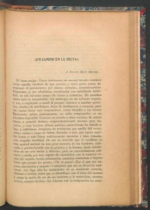 "Un camino en el selva"