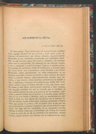 "Un camino en el selva"