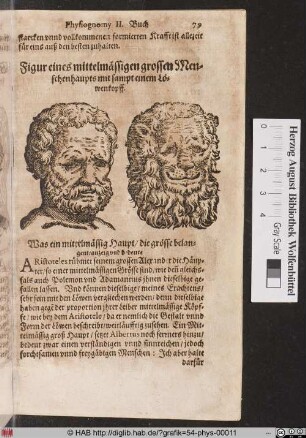 Figur eines mittelmässigen grossen Menschenhaupts mit sampt einem Löwenkopff.