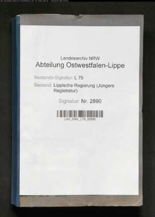 Anträge auf Ausstellung von Reisepässen, Pässe und Sichtvermerke 1918, Band 9
