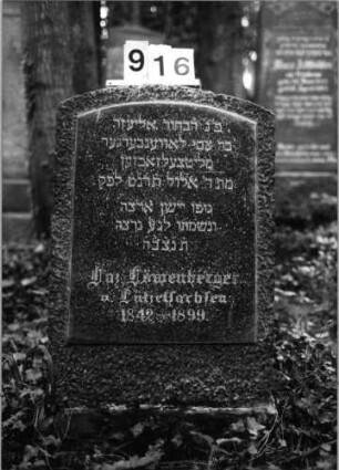 Grabstein 916 (Index: 99802571) Material: polierter Granit Zustand: sehr gut Maße HxBxT: 92x52x15 cm Beschreibung: Sockel, Stele mit Flachbogenabschluß Besonderheit: Endreim: Grabstein 916