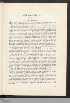 Das Kriegsjahr 1917