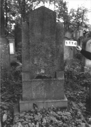 Grabstein 1114