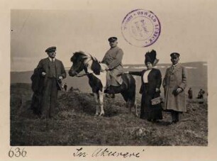 Island. Touristen der Hapag, ein Herr auf einem Pony, in der Umgebung von Akureyri