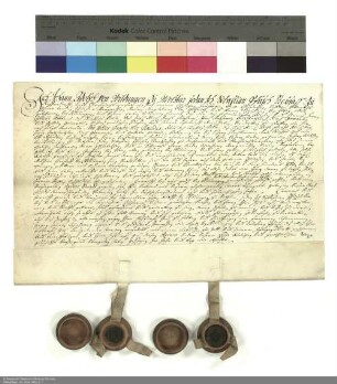 Revers Johann Adolfs von Wildungen zu Motzlar und Sebastian Pfuschs Freisass zu (Dieffendorff) bezüglich der Belehnung mit der adeligen Freiheit zu Motzlar mit Zugehörungen durch Placidus [von Droste], Abt von Fulda