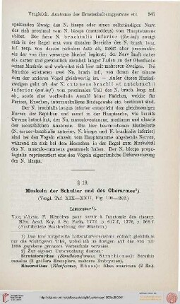 § 19. Muskeln der Schulter und des Oberarms