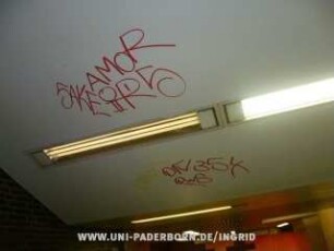 SAKE AMoR iRS