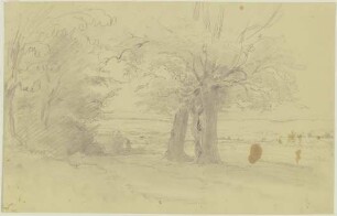 Ausblick vom Waldrand in eine Landschaft