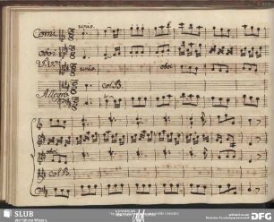 Coro: Della vita nel dubbio cammino