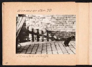 Fotoalbum des Malers Willy Irmscher : Albumseite 14 mit Aufnahme vom Familienhund Munki im Hof Wormser Straße 70 in Dresden