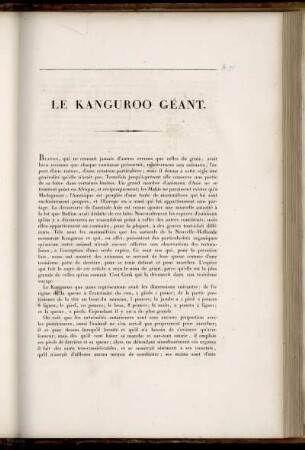 Le Kanguroo Geant. [bis] Le Wumbat.