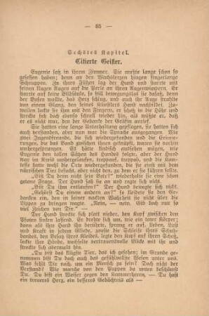 Sechstes Kapitel. Citierte Geister